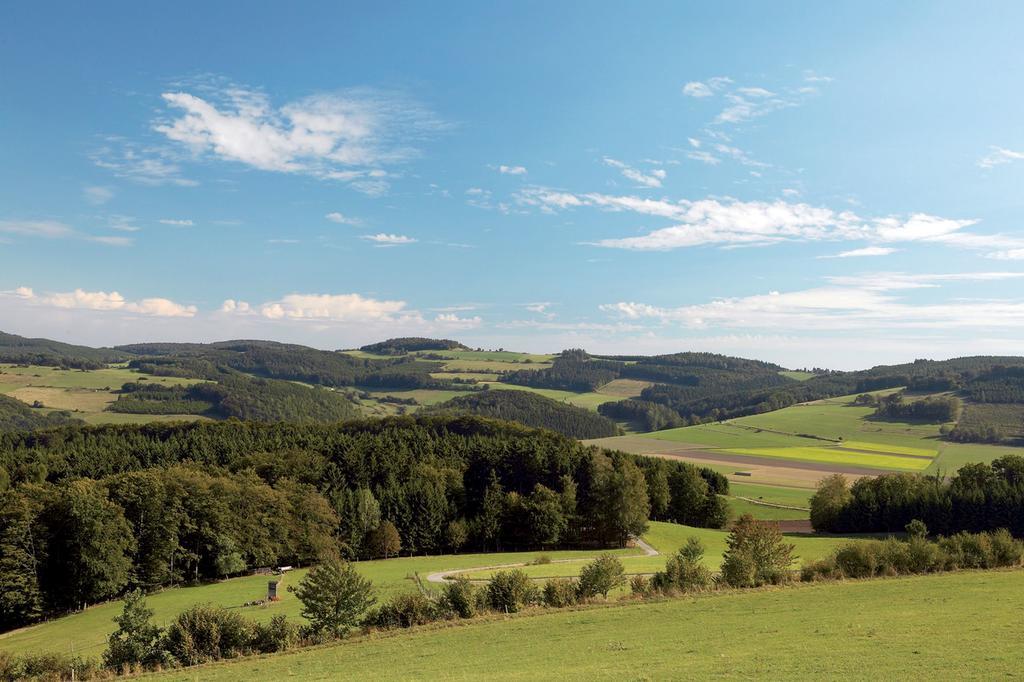 Wellnesshotel Buergerstuben Willingen  Luaran gambar